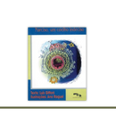 Narciso, um coelho indeciso